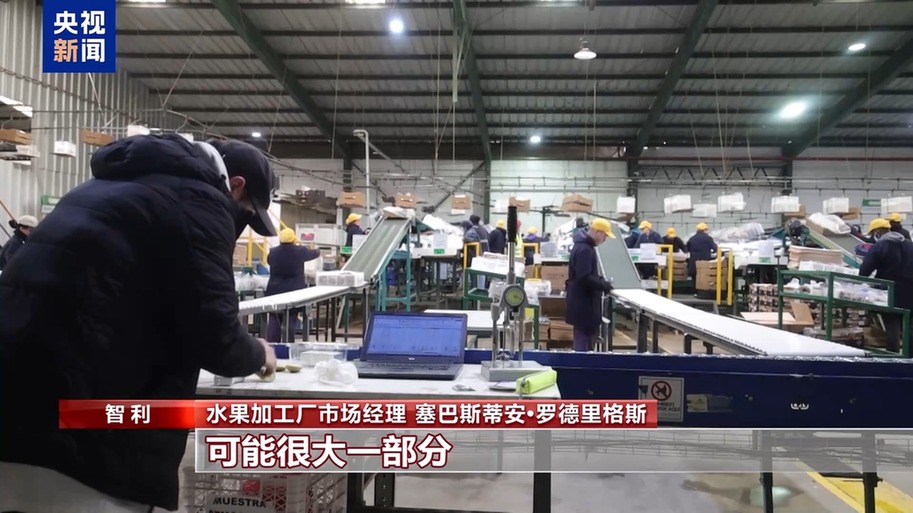 水果棘手的关税 智利水果产业“愁”冰球突