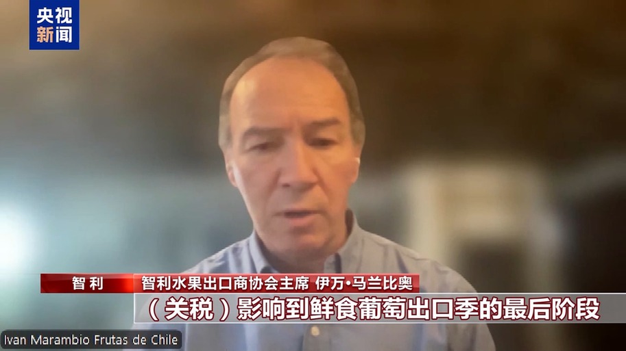 水果棘手的关税 智利水果产业“愁”冰球突破平台总台记者探访丨应季的(图5)